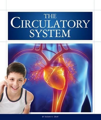 The Circulatory System