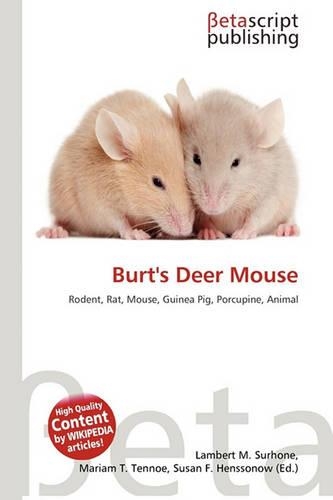 Burt's Deer Mouse