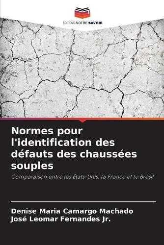 Normes pour l'identification des défauts des chaussées souples