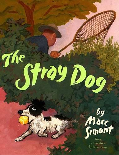 The Stray Dog: From a True Story by Reiko Sassa(English)