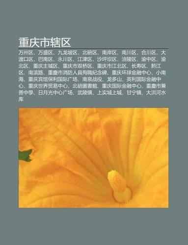 Zhong Qing Shi Xia Q