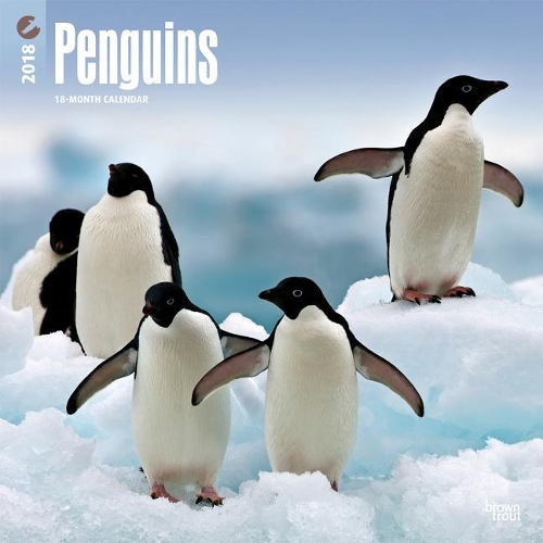 Penguins 2018 Wall Calendar