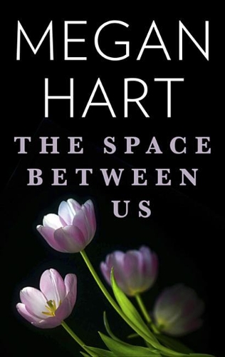 The Space Between Us