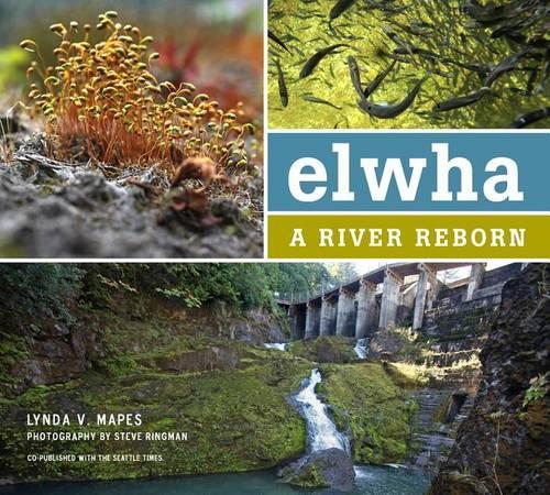 Elwha