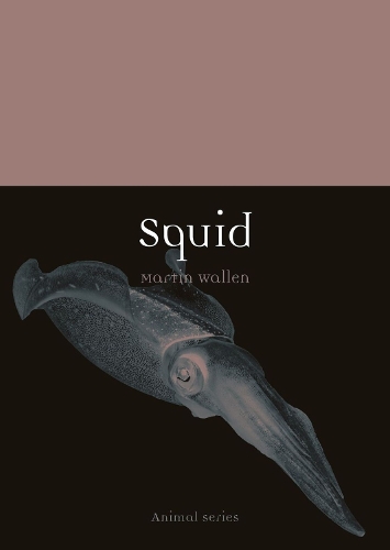 Squid: (Animal)