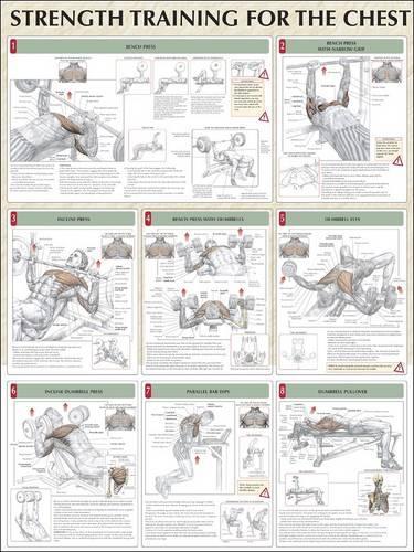 Strength Training for the Chest