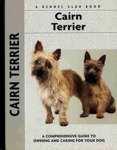 Cairn Terrier