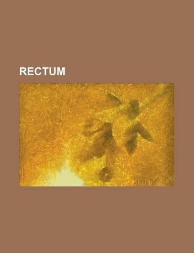 Rectum