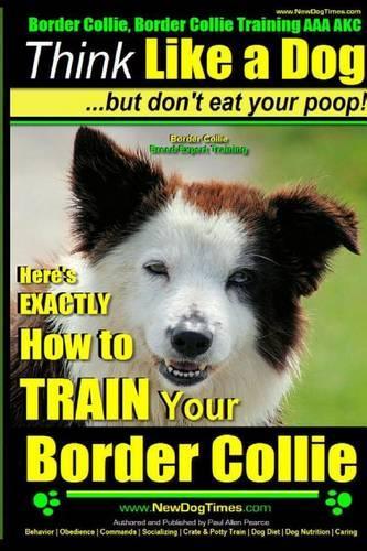 Border Collie, Border Collie Training AAA AKC