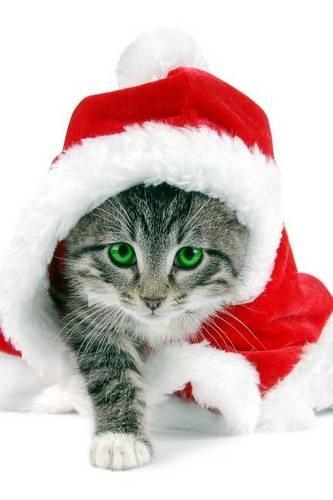 A Striped Cat Dressed Like Santa for Christmas: Blank 150 Page Lined Journal for Your Thoughts, Ideas, and Inspiration(English)