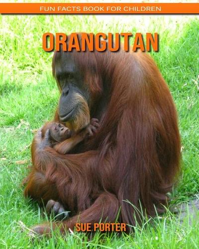 Orangutan