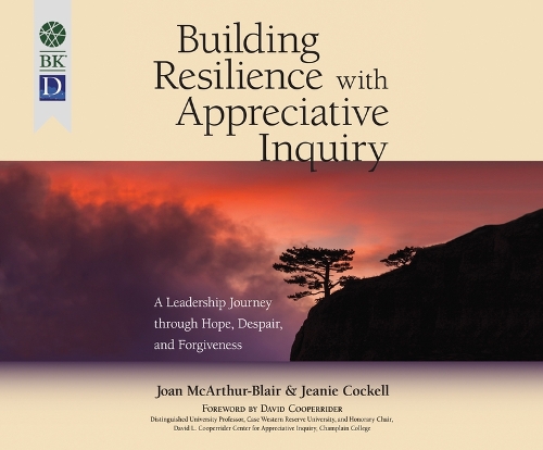 Building Resilience with Appreciative Inquiry: A Leadership Journey Through Hope, Despair, and Forgiveness