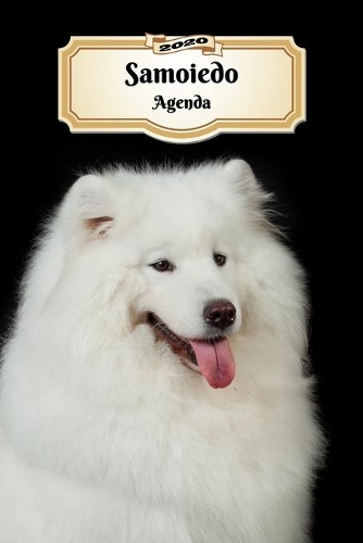 2020 Samoiedo Agenda