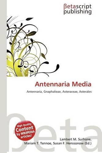 Antennaria Media: (English)