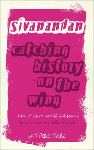 Catching History on the Wing: Race, Culture and Globalisation(Get Political)