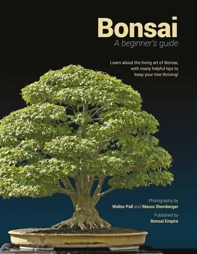 Bonsai: A Beginners Guide