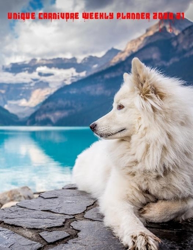 Unique Carnivore Weekly Planner 2020/21