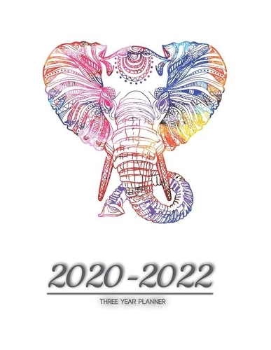 2020-2022 three year planner