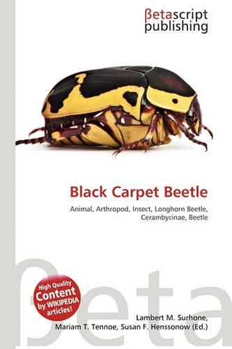 Black Carpet Beetle