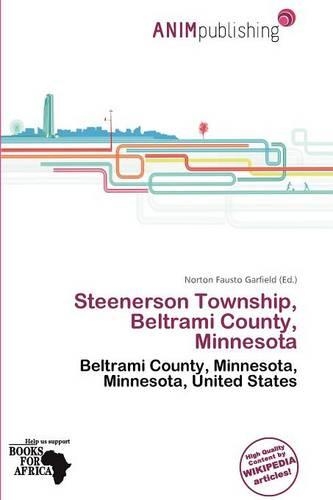 Steenerson Township, Beltrami County, Minnesota