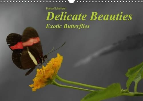 Delicate Beauties Exotic Butterflies / UK-Version 2015
