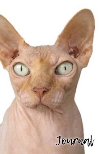 Journal