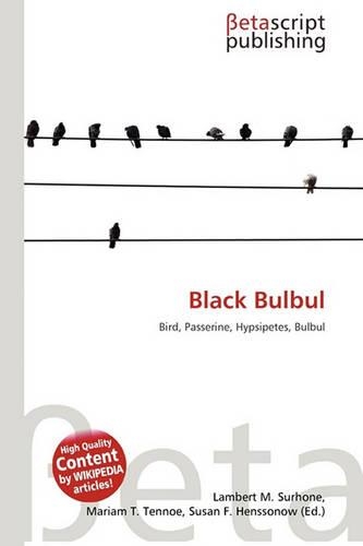 Black Bulbul