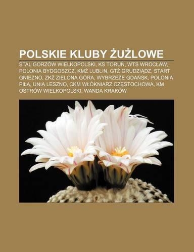 Polskie Kluby U Lowe