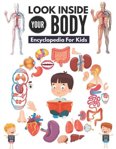 Look Inside Your Body