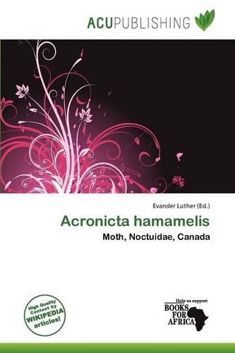 Acronicta Hamamelis