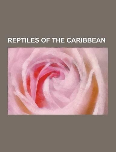 Reptiles of the Caribbean