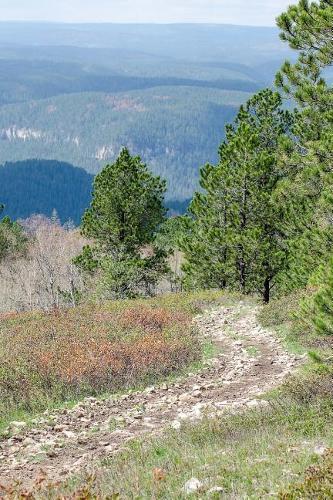 The Mountain Trail Journal