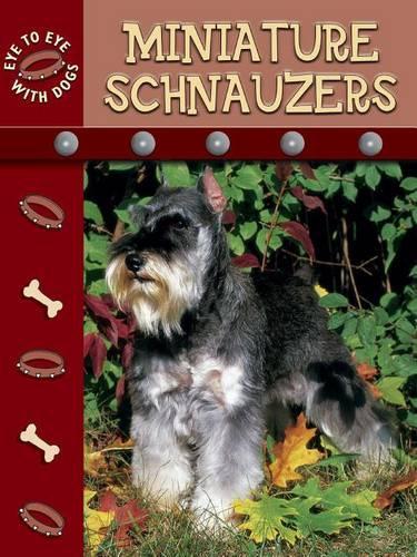 Miniature Schnauzers: (Eye to Eye with Dogs)