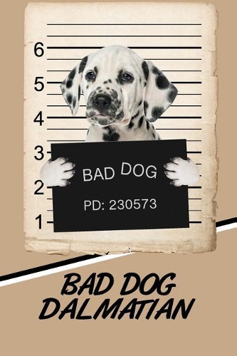 Bad Dog Dalmatian