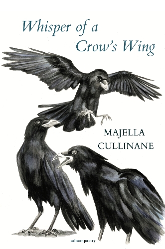 Whisper of a Crow's Wing