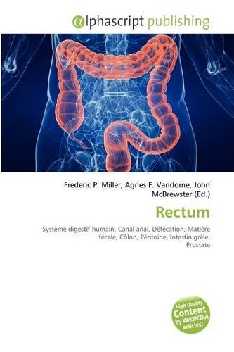 Rectum