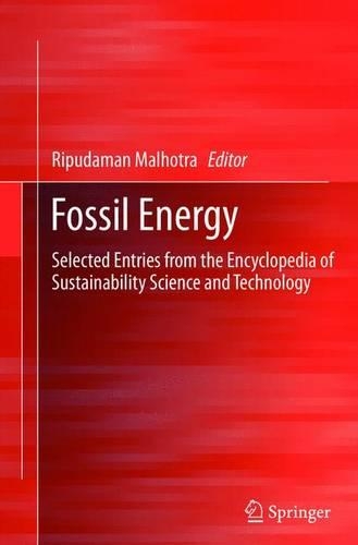 Fossil Energy: Selected Entries from the Encyclopedia of Sustainability Science and Technology(English)