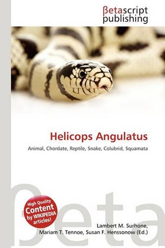 Helicops Angulatus