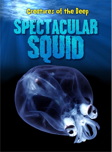 Spectacular Squid