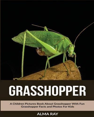 Grasshopper
