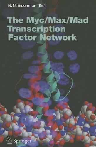 The Myc/Max/Mad Transcription Factor Network