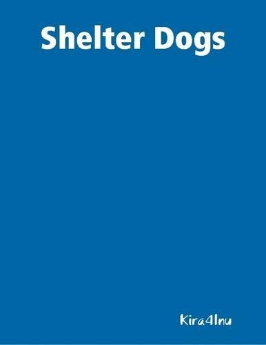 Shelter Dogs