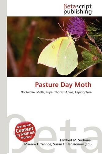 Pasture Day Moth