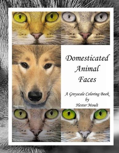 Domesticated Animal Faces