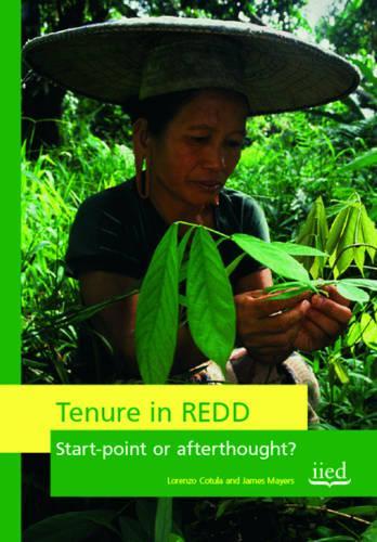 Tenure in REDD