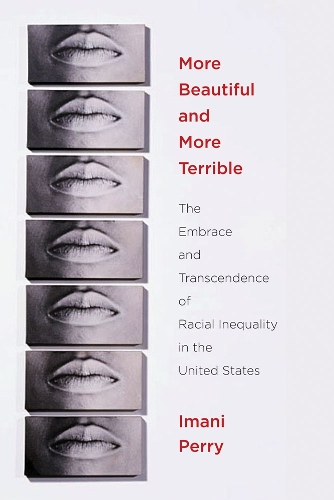 More Beautiful and More Terrible: The Embrace and Transcendence of Racial Inequality in the United States(English)