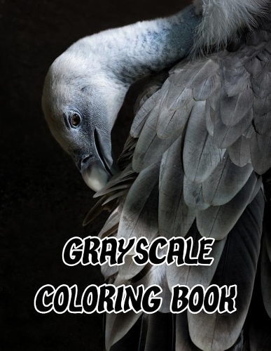 Grayscale Coloring Book: Grayscale Adults Coloring Book Pages for Relaxation and Mediation with Challenge Images Jumbo Size