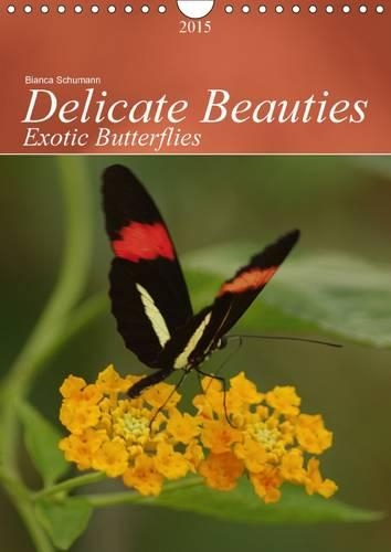 Delicate Beauties Exotic Butterflies 2015