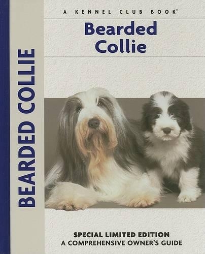 Bearded Collie