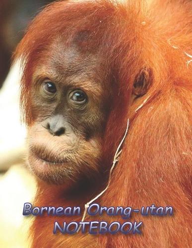 Bornean Orang-utan NOTEBOOK